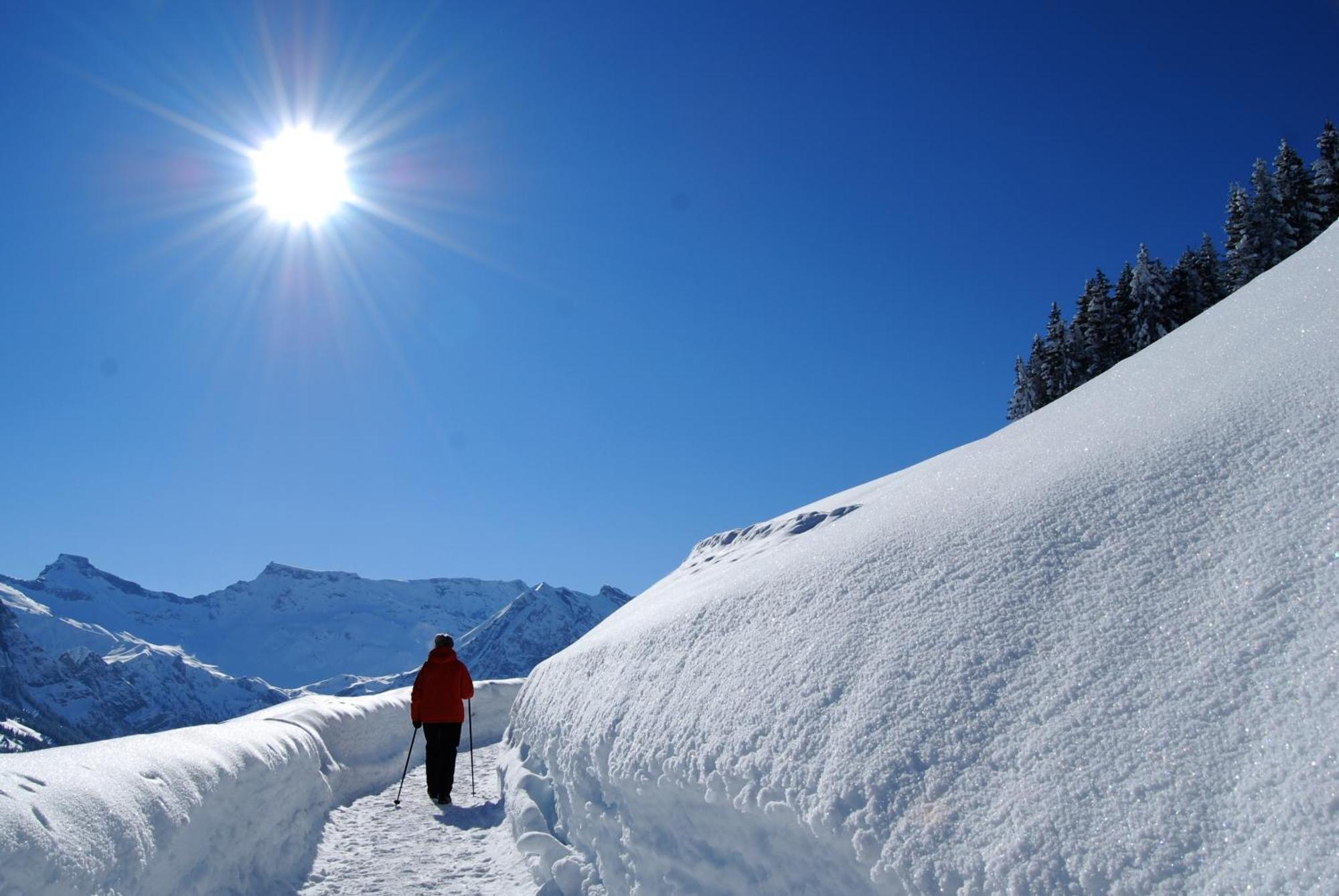 Bellevue Parkhotel & Spa - Relais & Chateaux Adelboden Exterior photo